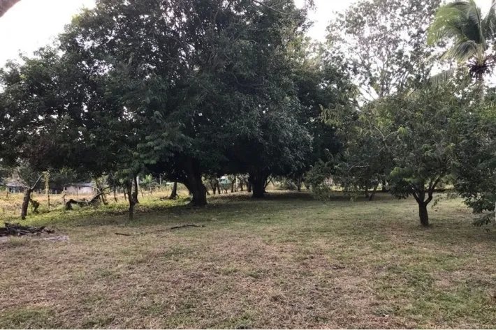 Se vende terreno plano, en Gorgona, Panamá Oeste