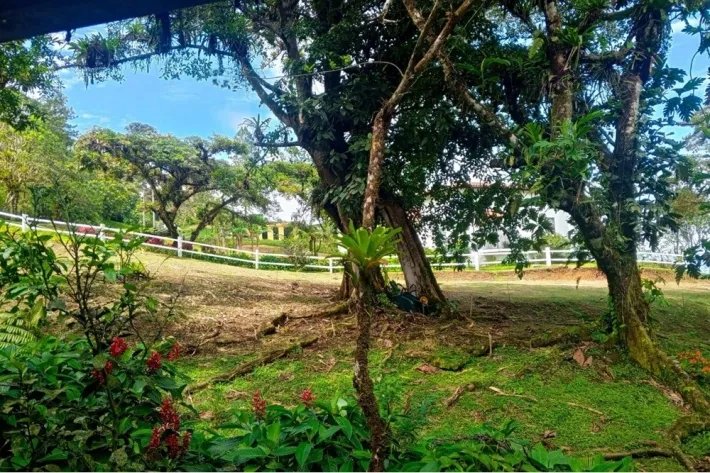 House with pool for sale in Altos del Maria, Panama