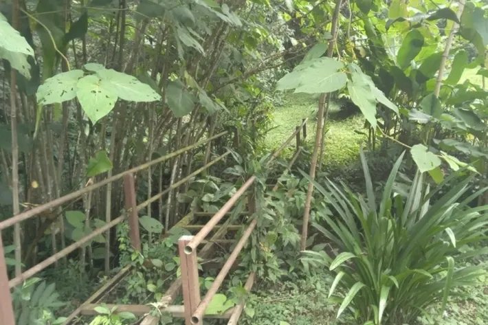 Venta de terreno en Chiriquí, Panamá