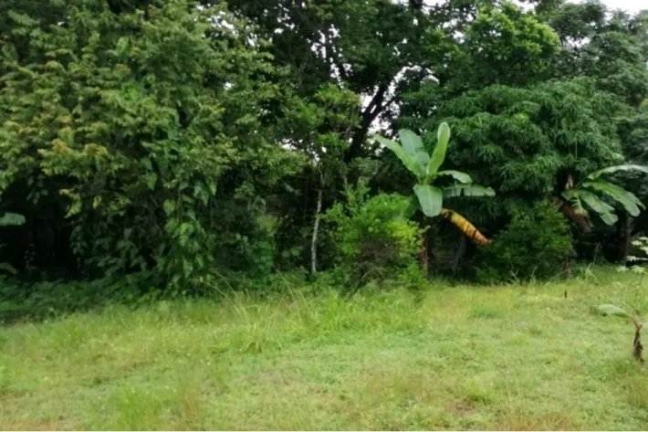 Se vende lote de terreno en La Mesa, San Martín, Panamá
