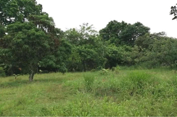 Se vende lote de terreno en La Mesa, San Martín, Panamá