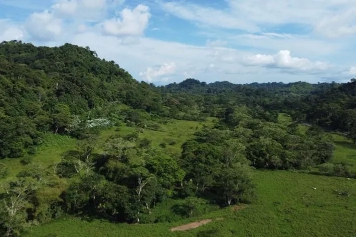 Terreno en alquiler en Colón, Achiote
