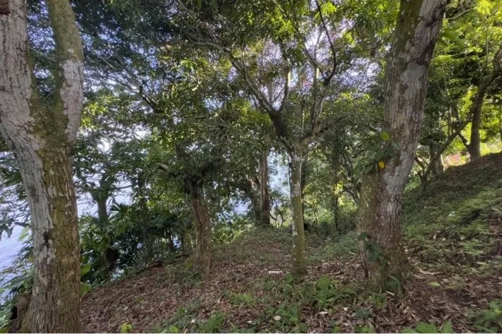 Venta de terreno en Escobal, Colón
