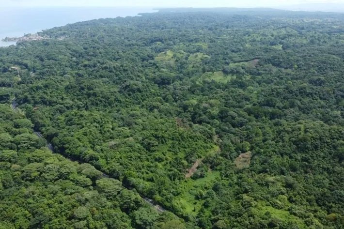 Terreno en venta frente al Mar Caribe en Chagres, Colón