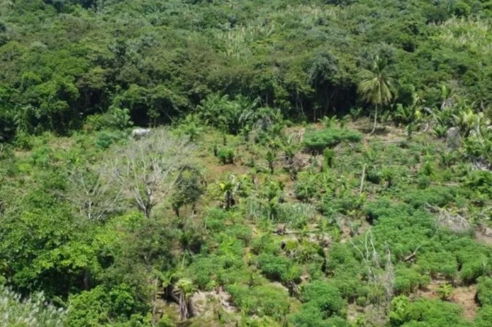 Terreno en venta frente al Mar Caribe en Chagres, Colón