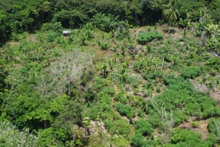 Terreno en venta frente al Mar Caribe en Chagres, Colón