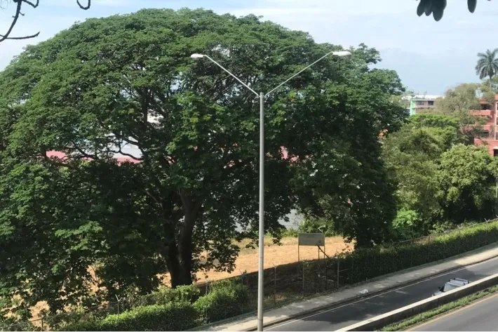 Se alquila terreno en Ancón, Panamá
