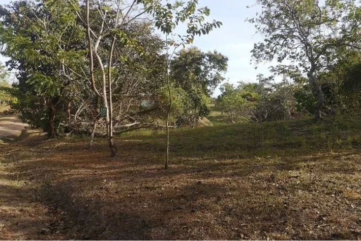 Land lot for sale in Hacienda La Florenciana, Las Uvas, San Carlos