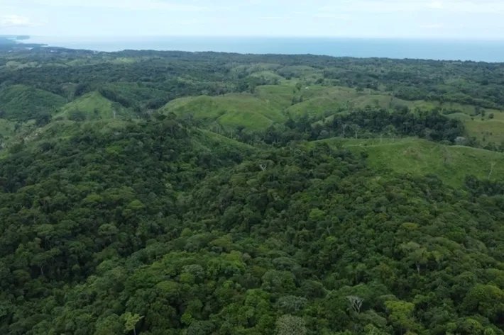 Terreno en alquiler en Colón, Piña