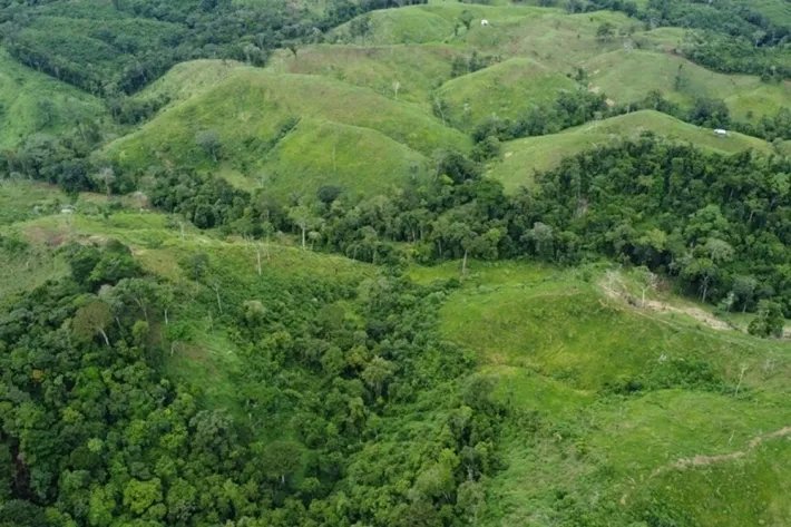 Terreno en alquiler en Colón, Piña