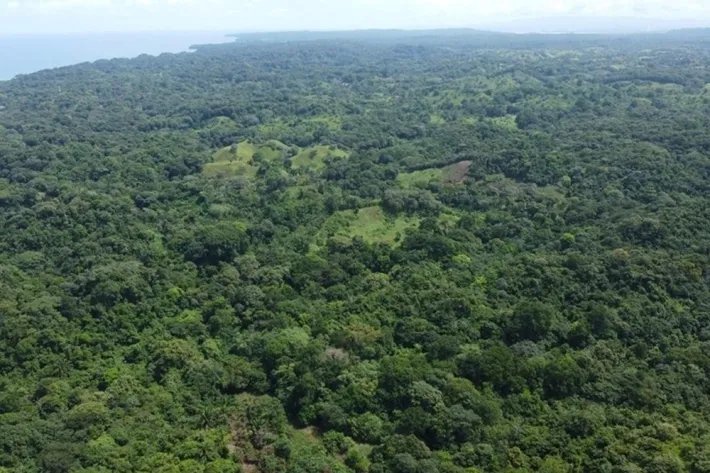Terreno en venta en Colón, Piña
