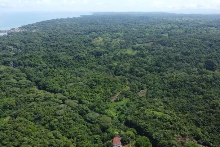 Terreno en venta en Colón, Piña