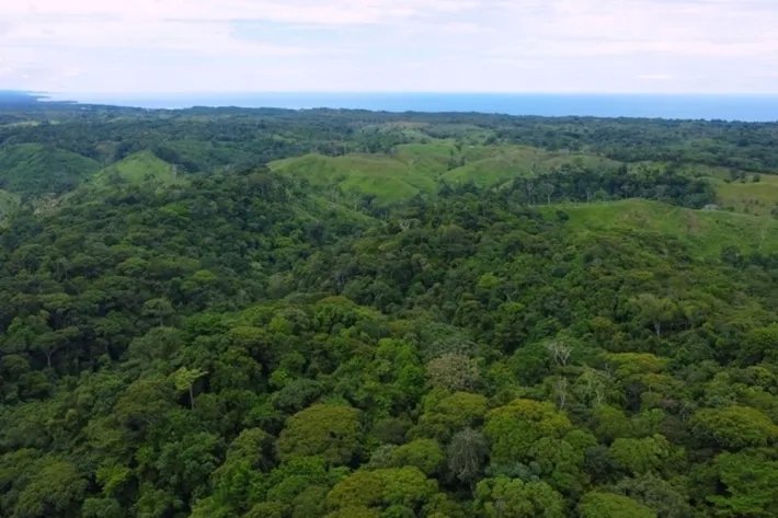 Terreno en venta en Piña, Colón