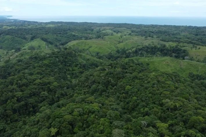Terreno en venta en Piña, Colón