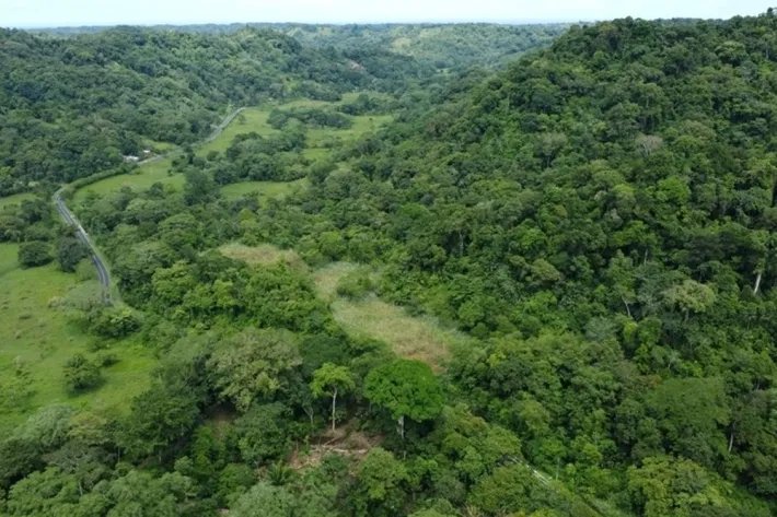 Terreno en venta en Piña, Colón