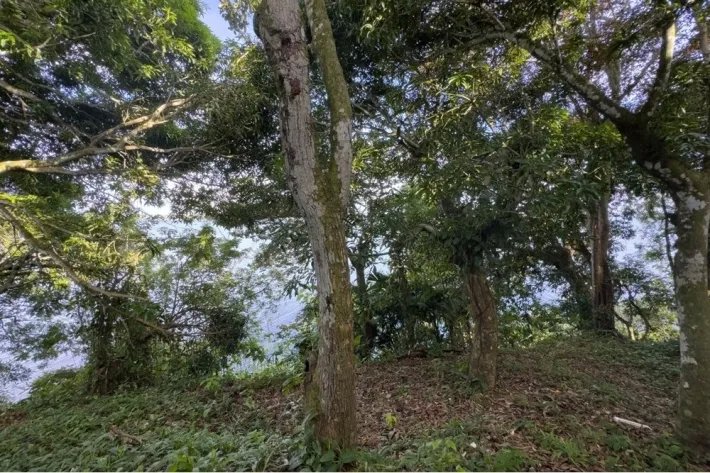 Alquiler de terreno en Escobal, Colón