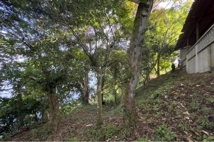 Alquiler de terreno en Escobal, Colón