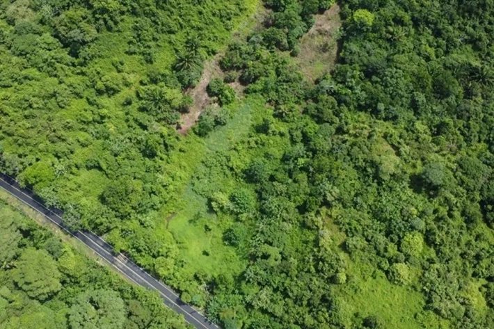 Terreno en alquiler en Colón, Piña