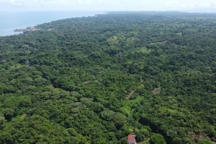 Terreno en alquiler en Colón, Piña