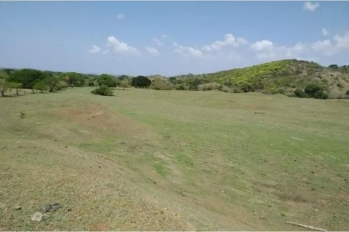 Venta de finca en Pesé, Herrera, Panamá
