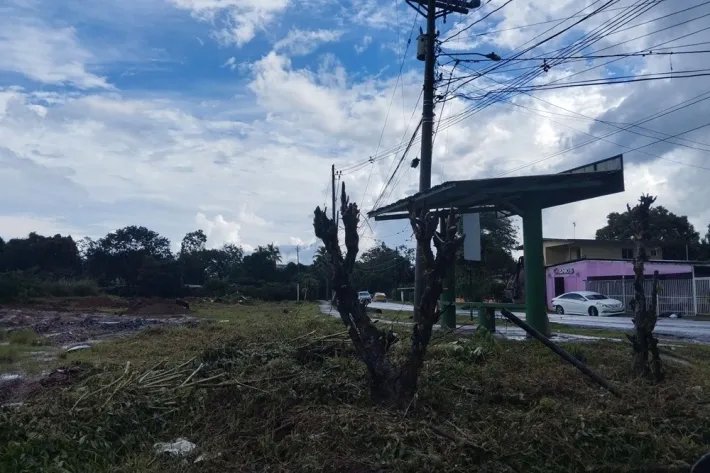 Se alquila terreno en Villalobos, Pedregal