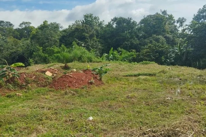 Se vende terreno en Villalobos, Pedregal