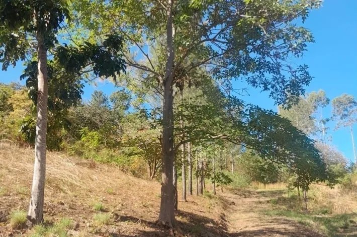 Lot for sale in Buenos Aires, Llano Grande, Chame