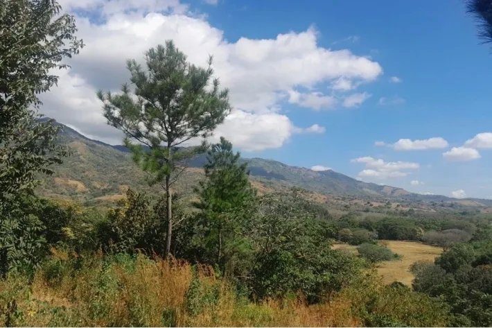 Lot for sale in Buenos Aires, Llano Grande, Chame