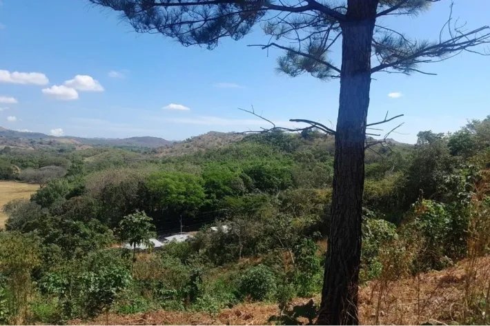 Lot for sale in Buenos Aires, Llano Grande, Chame