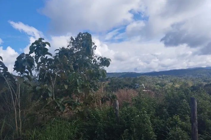 Se vende terreno en Calzada Larga, Chilibre