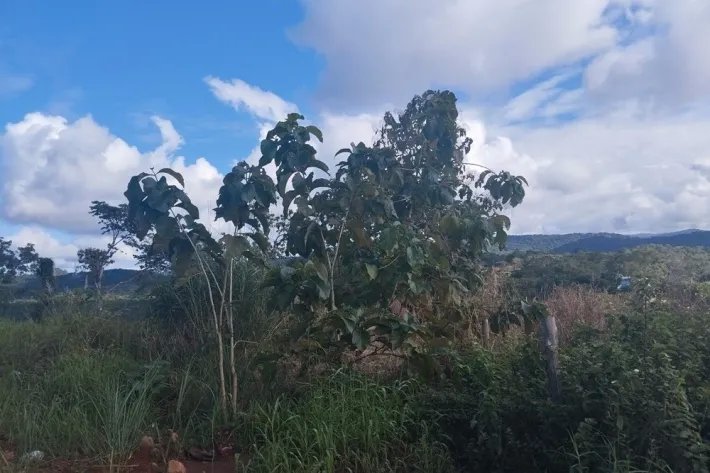Se vende terreno en Calzada Larga, Chilibre