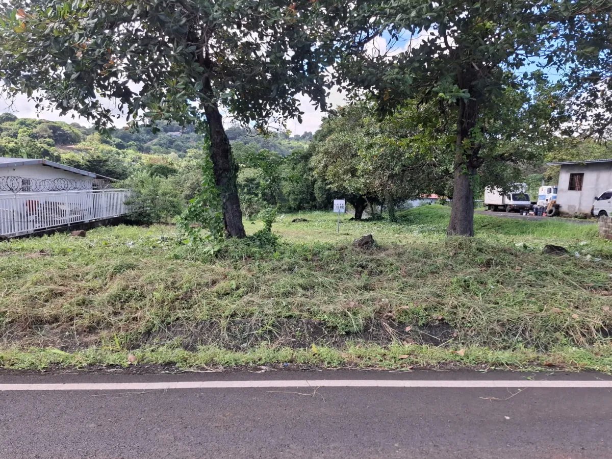 Se vende lote de 1000m2 en Cerro Azul, 24 de Diciembre