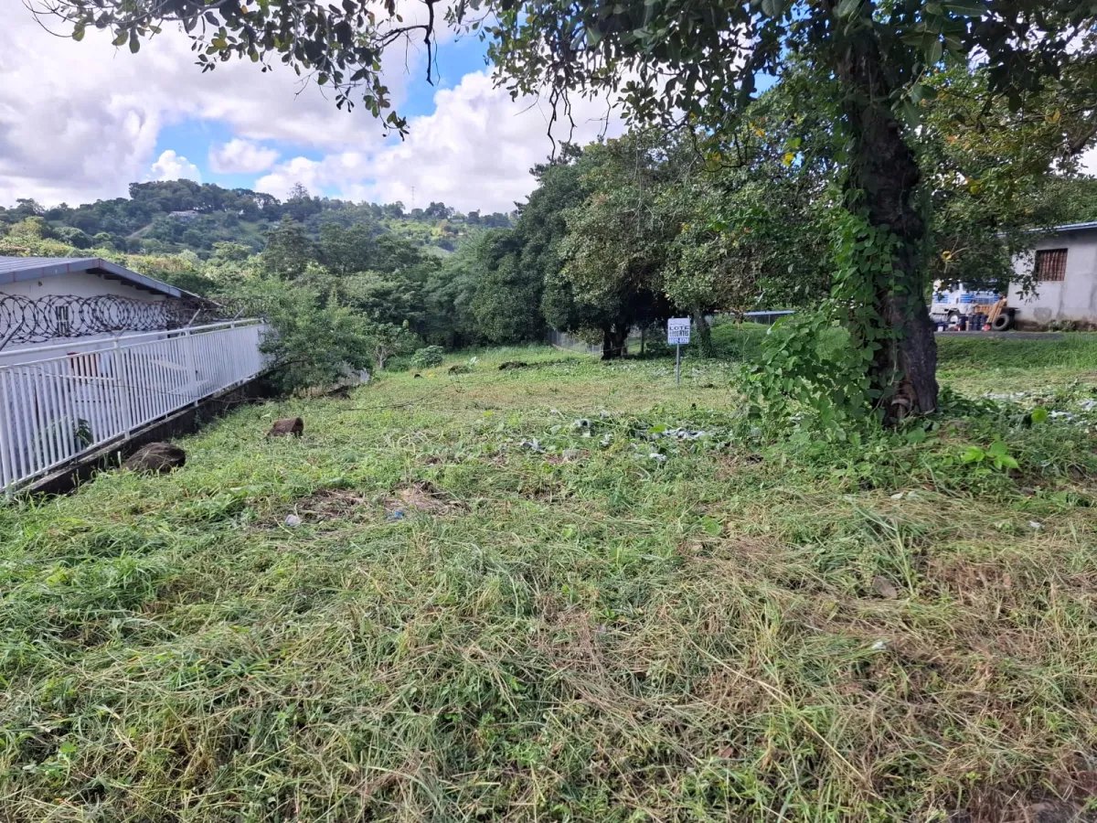 Se vende lote de 1000m2 en Cerro Azul, 24 de Diciembre