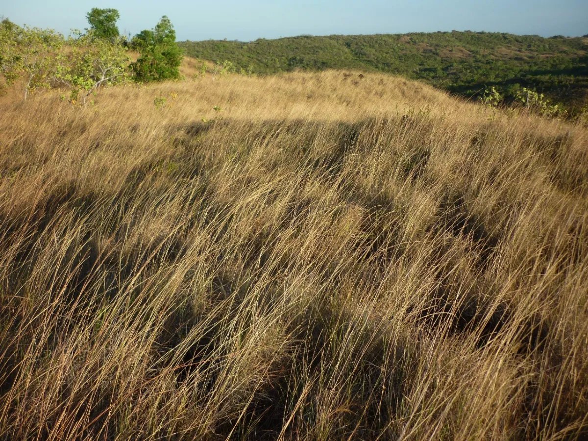 Venta de Terreno en Calobre