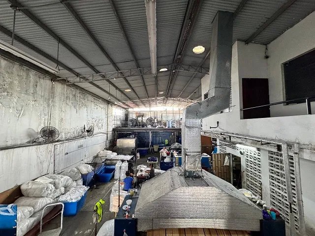 Bodega en Venta en Panamá Viejo