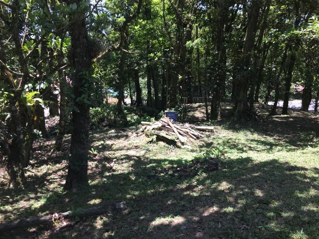 Se vende lote en Sorá, Chame