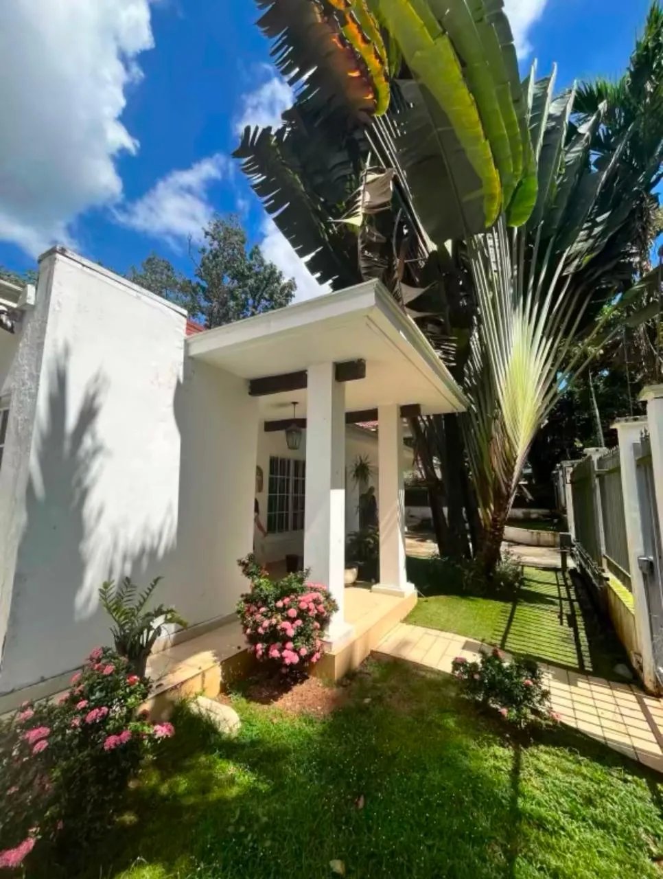 Alquiler de residencia en Llanos de Curundu
