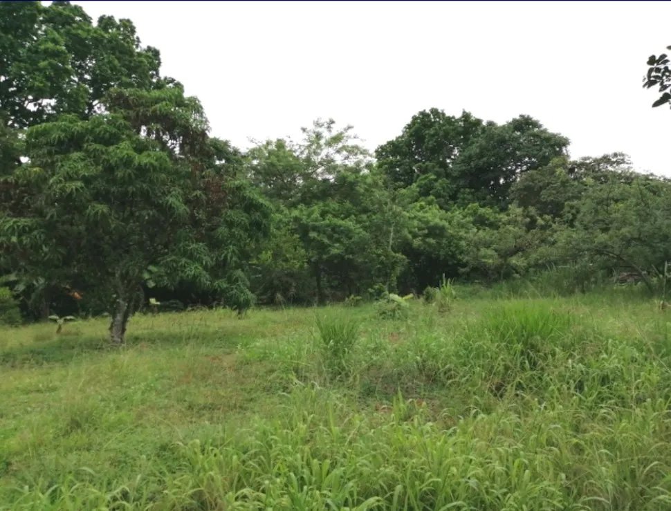 Se vente lote en La Mesa, San Martín