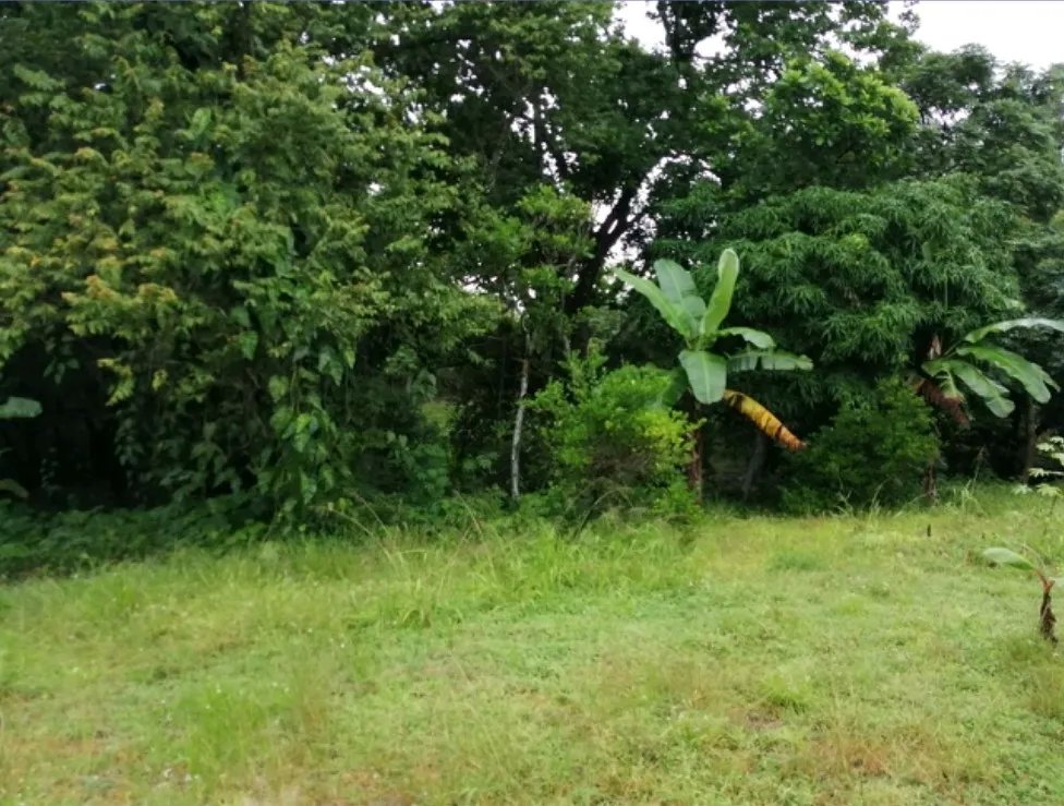 Se vente lote en La Mesa, San Martín