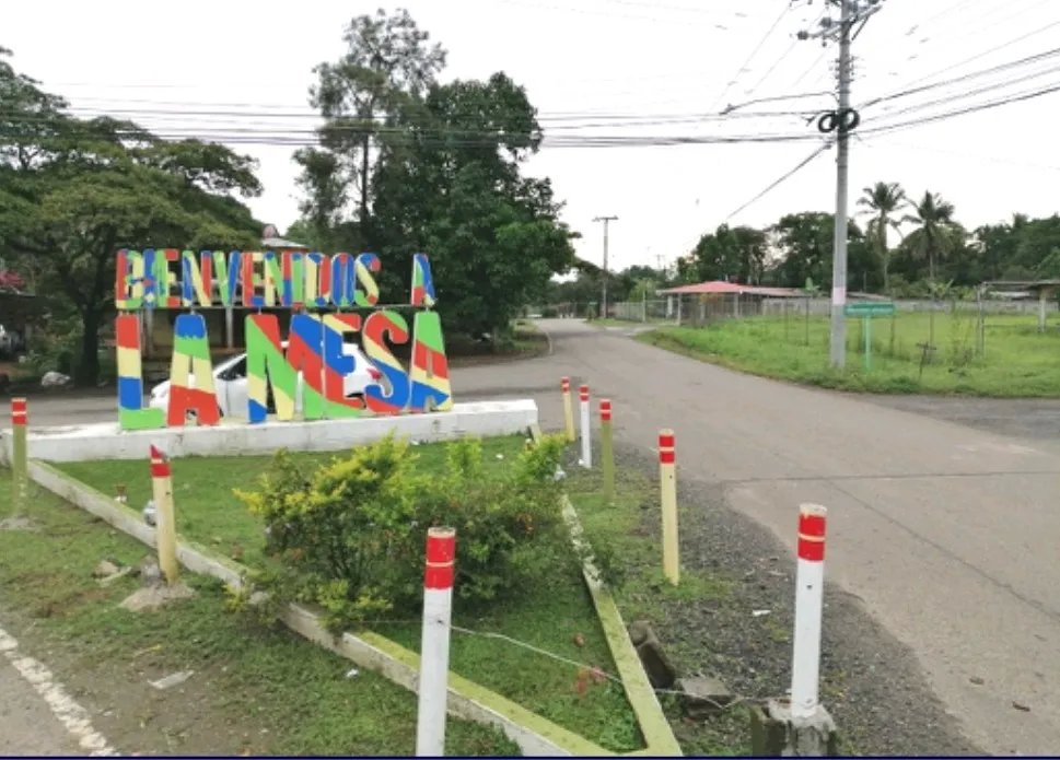 Se vente lote en La Mesa, San Martín