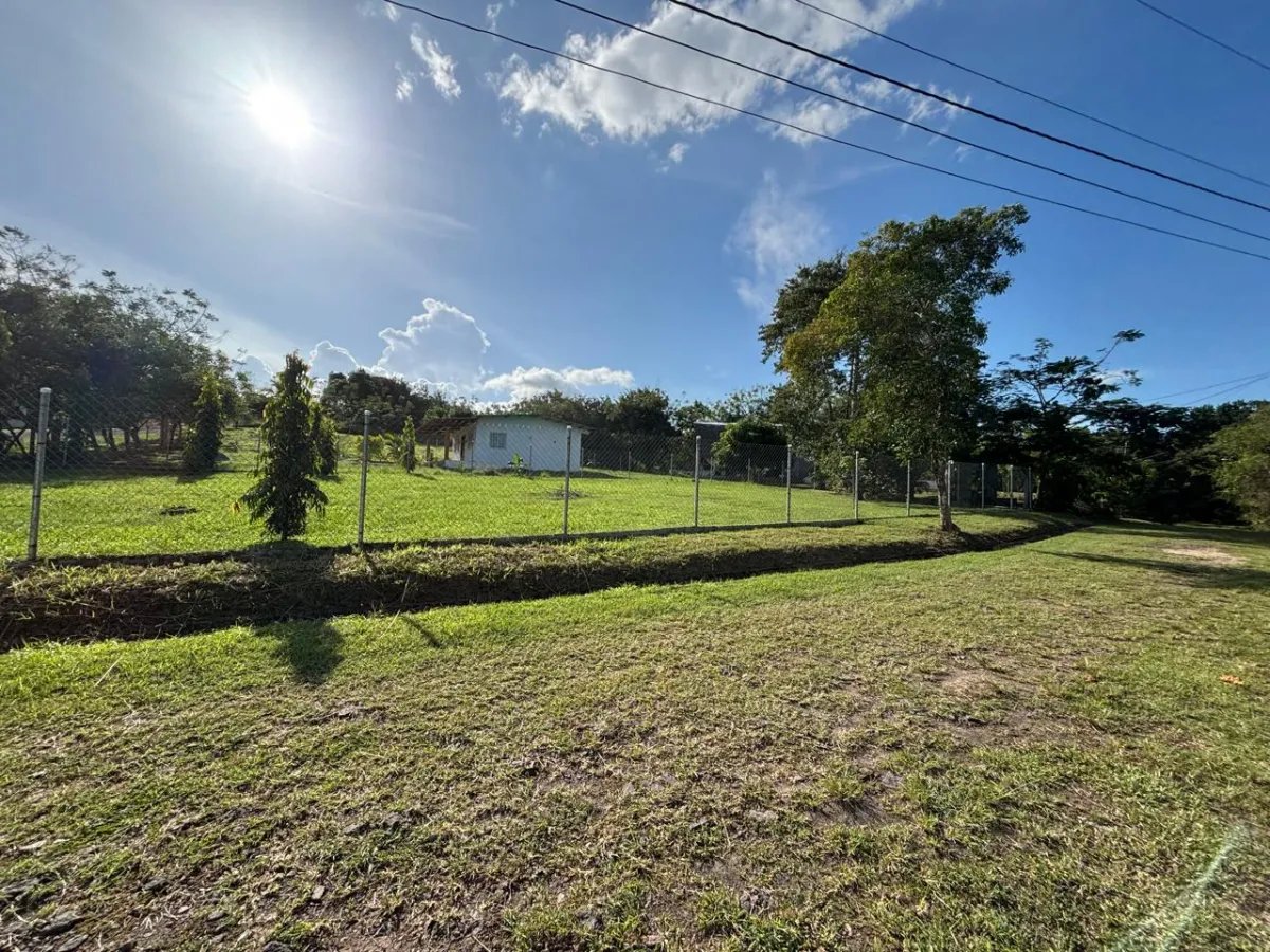 Unimproved Land For Sale in San Carlos
