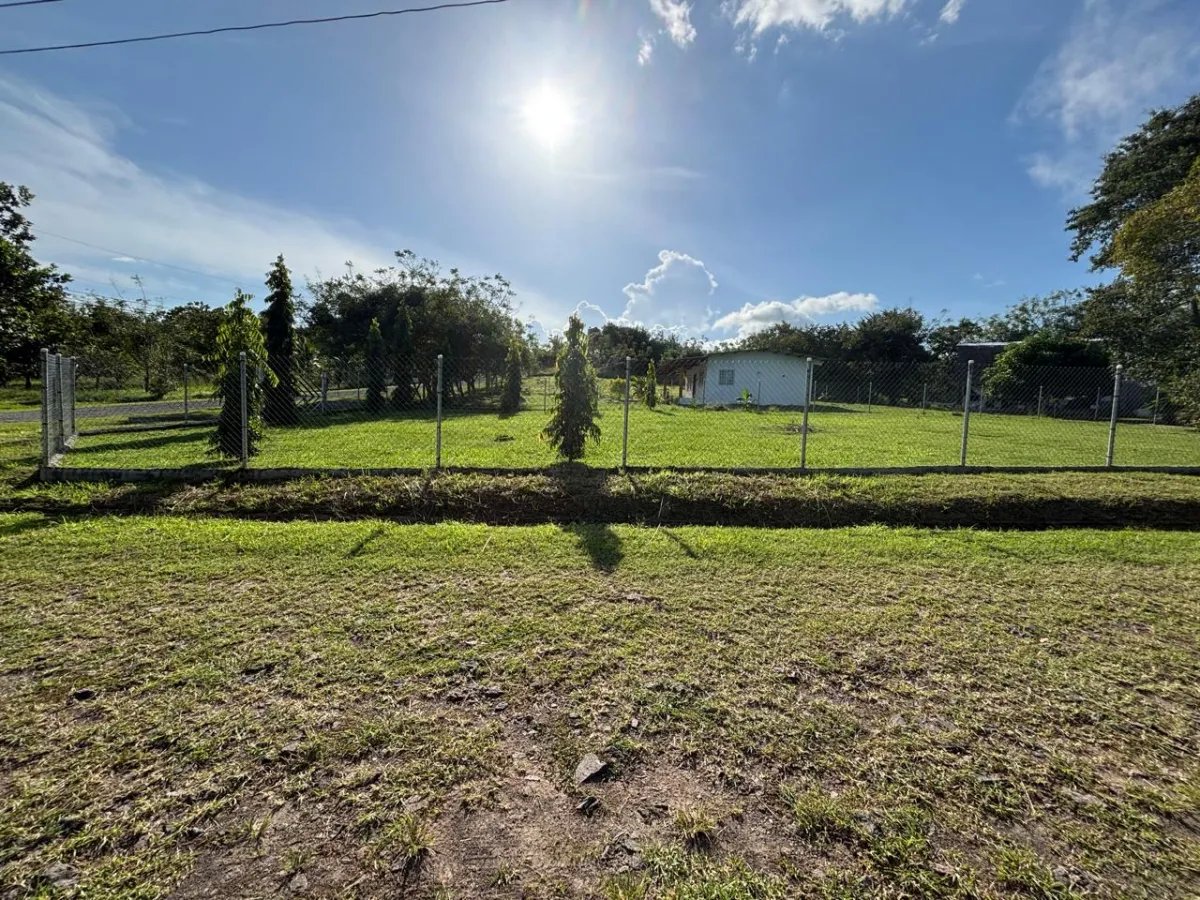 Unimproved Land For Sale in San Carlos