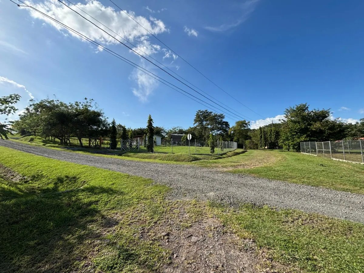 Unimproved Land For Sale in San Carlos