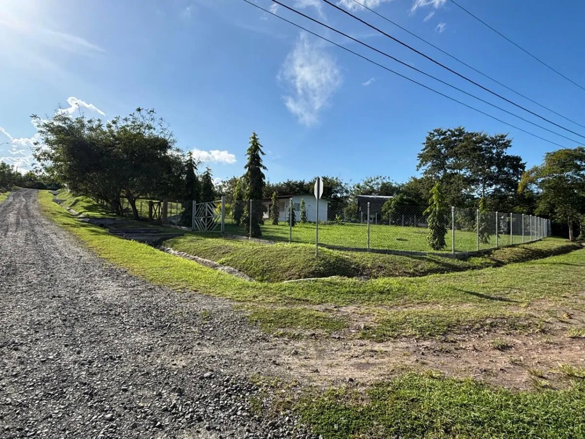Unimproved Land For Sale in San Carlos
