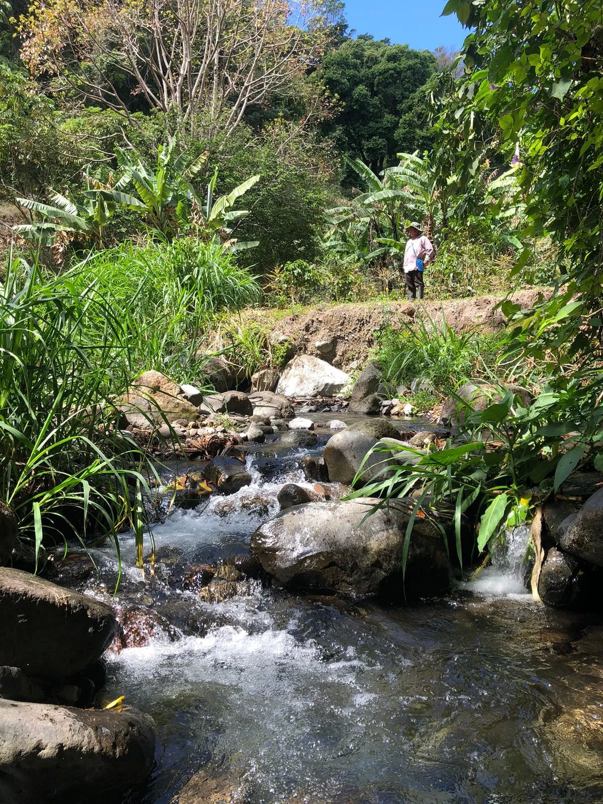 Venta de finca en Volcancito, Boquete, Chiriquí