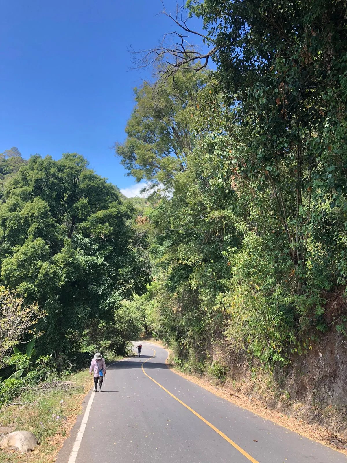 Venta de finca en Volcancito, Boquete, Chiriquí