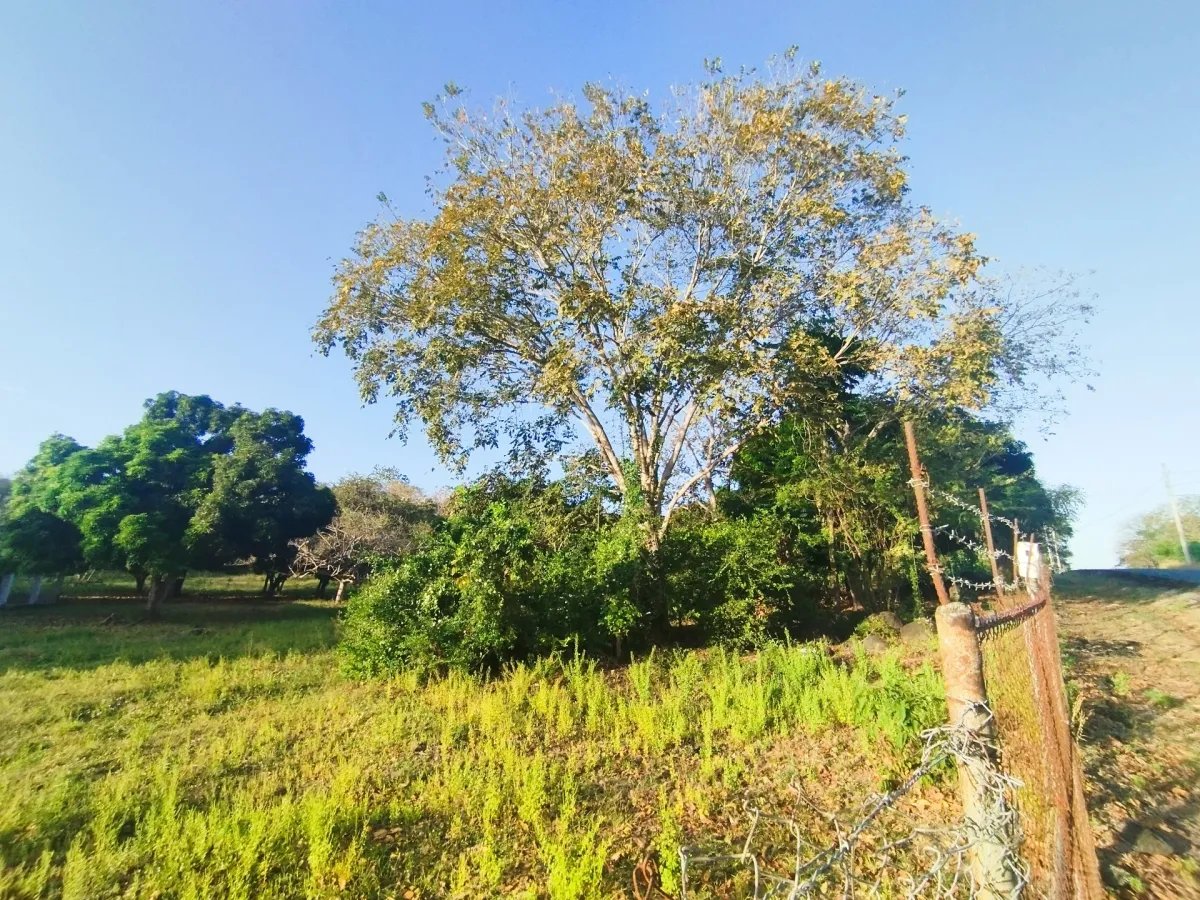 Se vende casa en Santo Domingo, Las Tablas, Los Santos