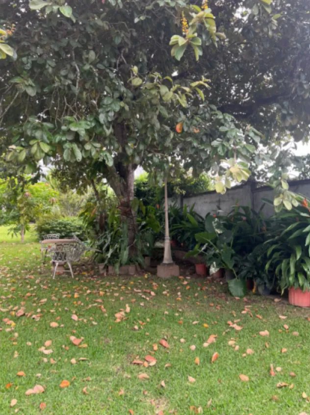 Venta de terreno en Coronado, Panamá Oeste
