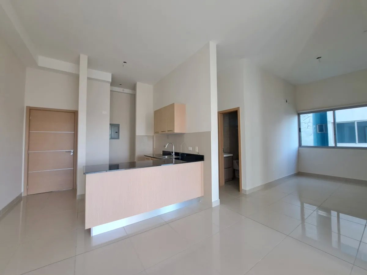 Apartment For Sale in Carrasquilla