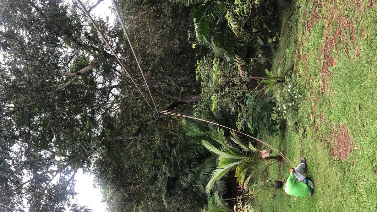 Se alquila restaurante con amplio terreno en La Chorrera